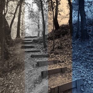 Estilos en Blanco y Negro para Capture One Pro